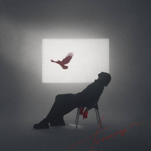 Кирилл Мойтон - Птица