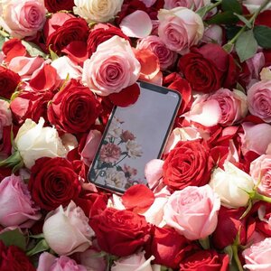 Leonid Rudenko, Black Voron - айФон