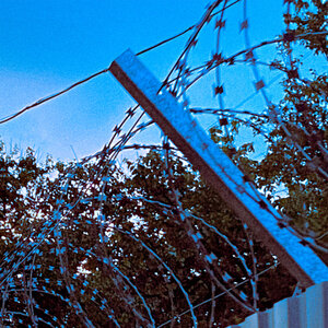 нехудожник․ - Лжец-лжец