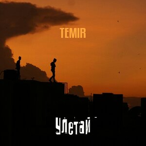 TEMIR - Улетай