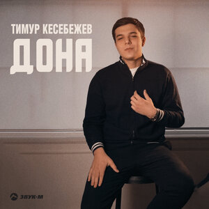 Тимур Кесебежев - Дона