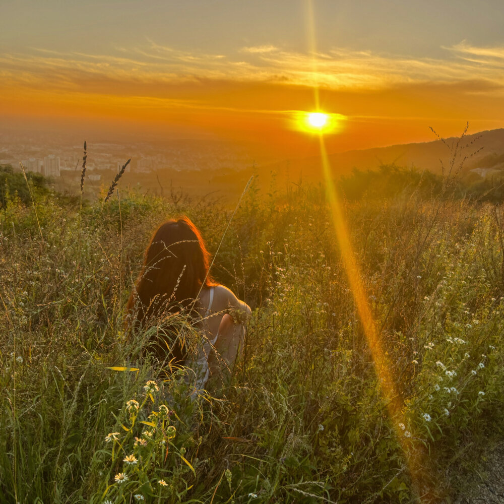 wavdealer - Жарко