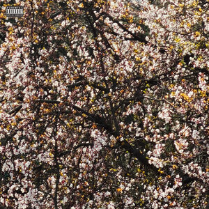 4ICE - Стань причиной