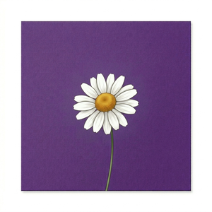 Белич - Самый странный друг