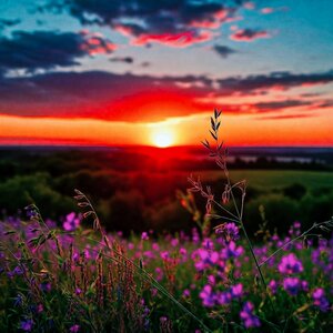 ФолкСвами - Россия