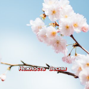 Гравитация - СКВОЗЬ ХОЛОДА