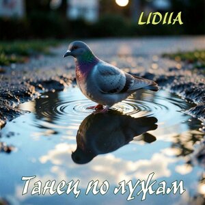 Lidiia - Танец по лужам