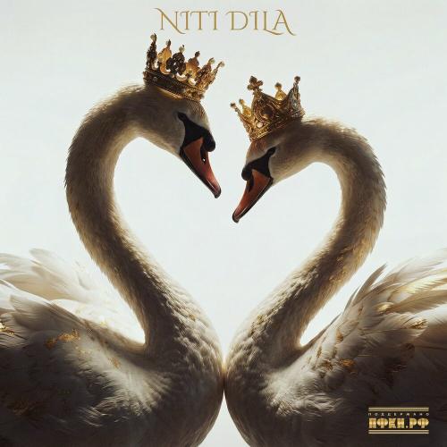 NITI DILA - Белые лебеди