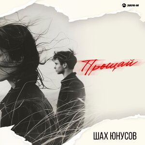Шах Юнусов - Прощай