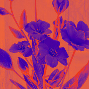 Свят - Весна rock